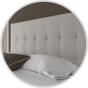 bed cat 3