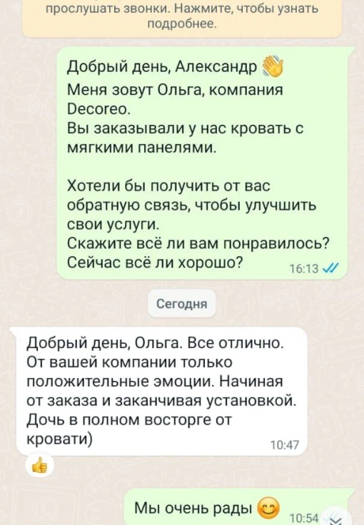 Отзыв клиента о Decoreo