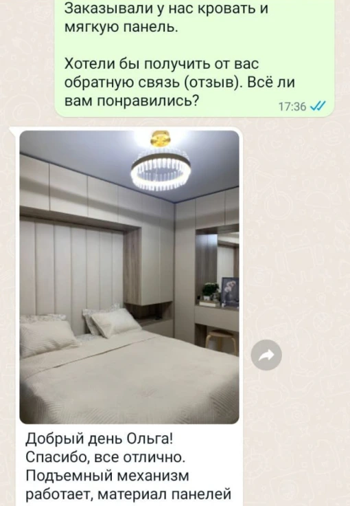 Отзыв клиента о Decoreo